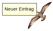Neuer Eintrag